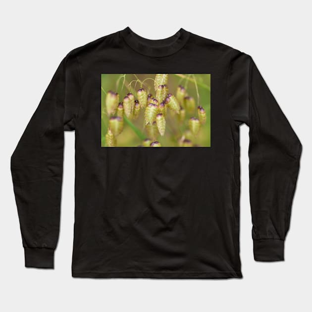 quacking Grass Long Sleeve T-Shirt by jvnimages